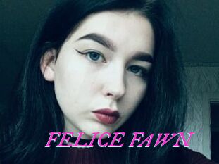 FELICE_FAWN