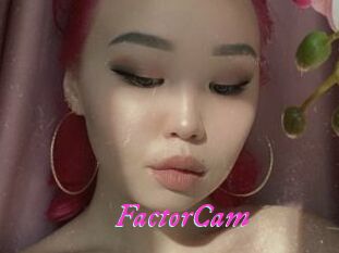 FactorCam