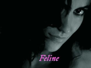 Feline