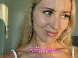 Felicecam