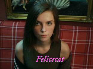 Felicecat