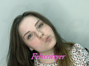 Felicedryer
