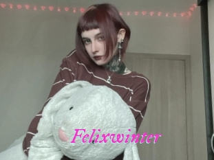 Felixwinter