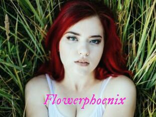 Flowerphoenix