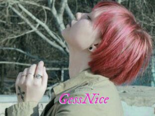 GessNice