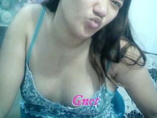 Gnet