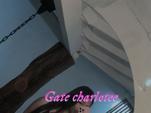 Gate_charlotee