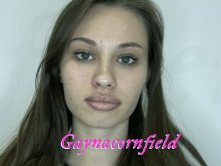 Gaynacornfield