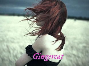 Gingercat