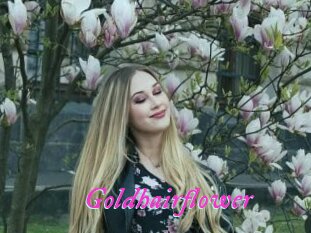 Goldhairflower
