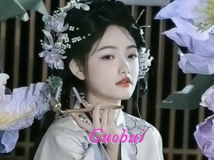 Guohui