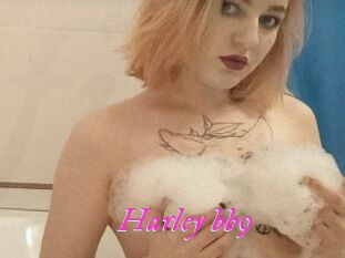 Harley_bb9