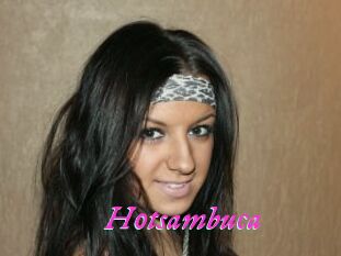 H0tsambuca