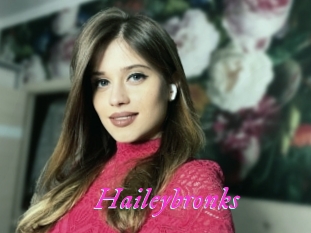 Haileybronks