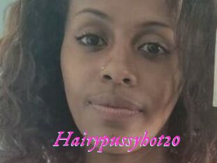 Hairypussyhot20