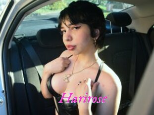 Harirose