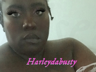 Harleydabusty