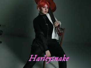 Harleysnake