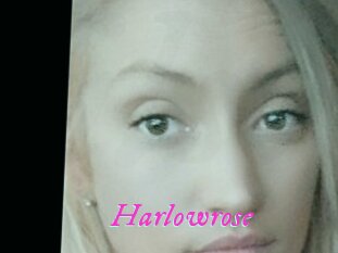 Harlowrose