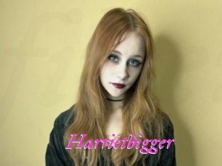 Harrietbigger