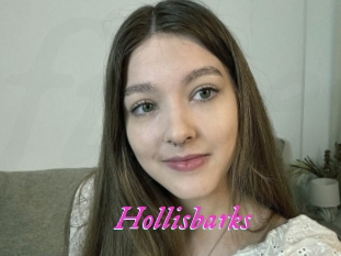 Hollisbarks
