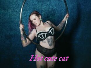 Hot_cute_cat