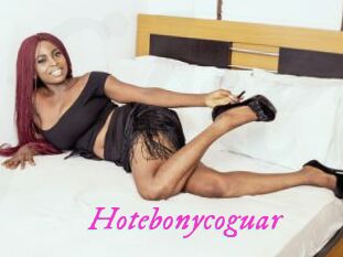 Hotebonycoguar