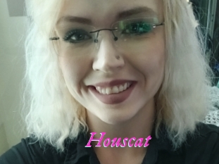Houscat