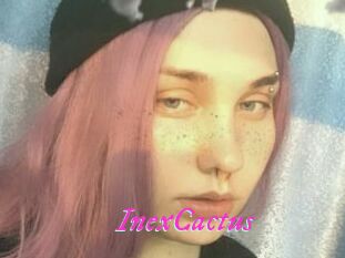 InexCactus