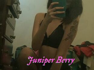 Juniper_Berry