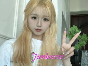 Junkocece