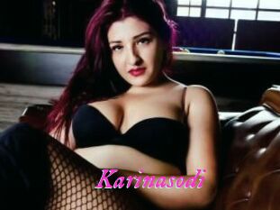 Karinasodi