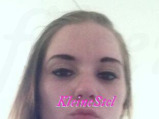 KleineStel
