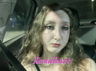 Kandikatie