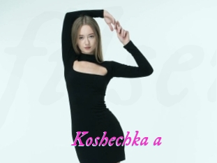 Koshechka_a