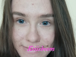 Kriisboom