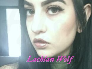 Lachlan_Wolf