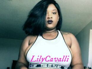 Lily_Cavalli