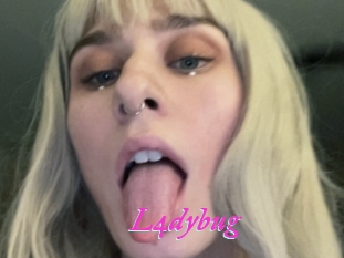 L4dybug