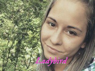 Ladybird