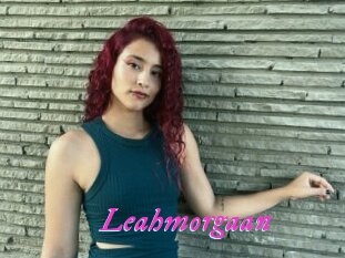 Leahmorgaan