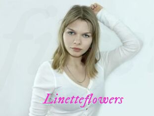 Linetteflowers