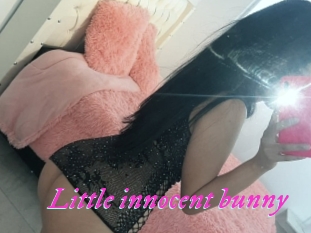 Little_innocent_bunny