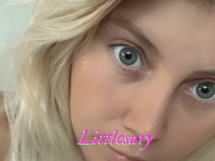 Littlesary