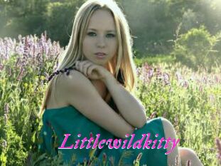 Littlewildkitty