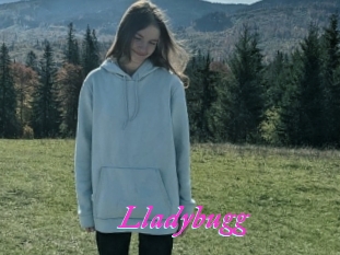 Lladybugg