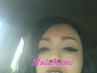 MulaMami