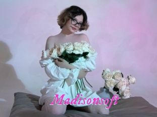 Madisonsoft