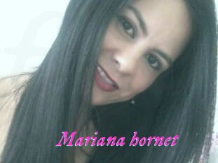 Mariana_hornet