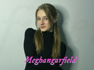 Meghangarfield